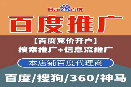 电商平台的关键词竞价排名：销售增长的秘诀